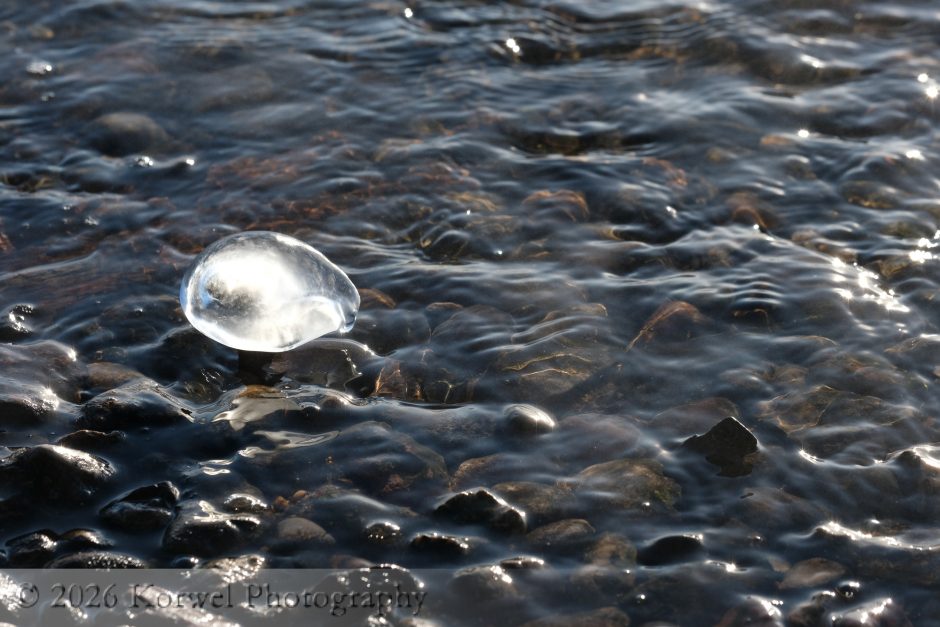 Dam ice-1