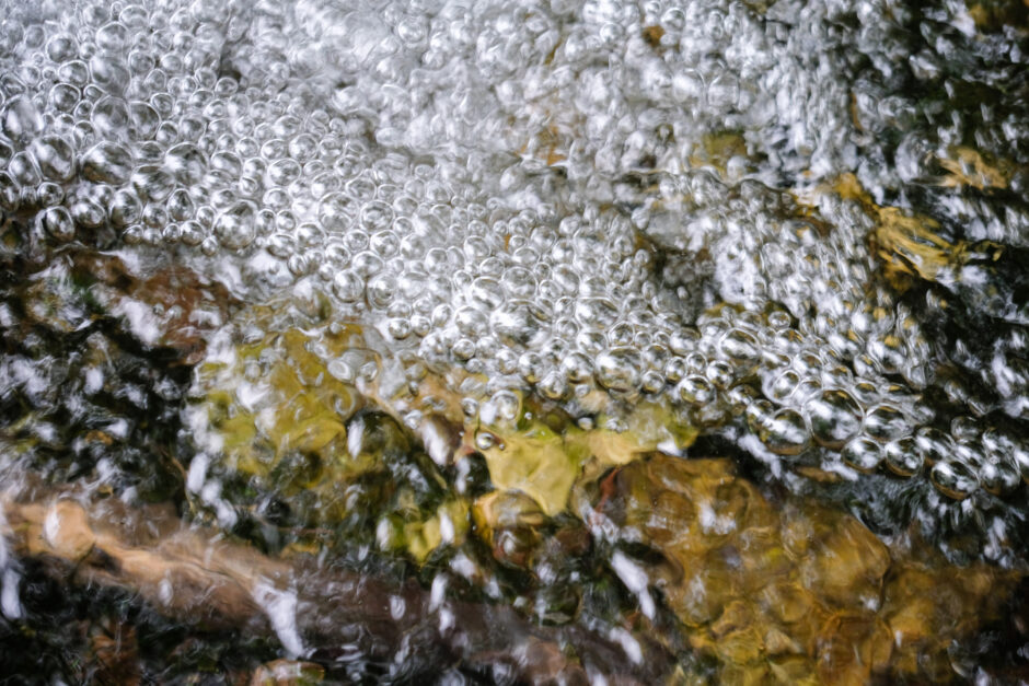 DSCF1771